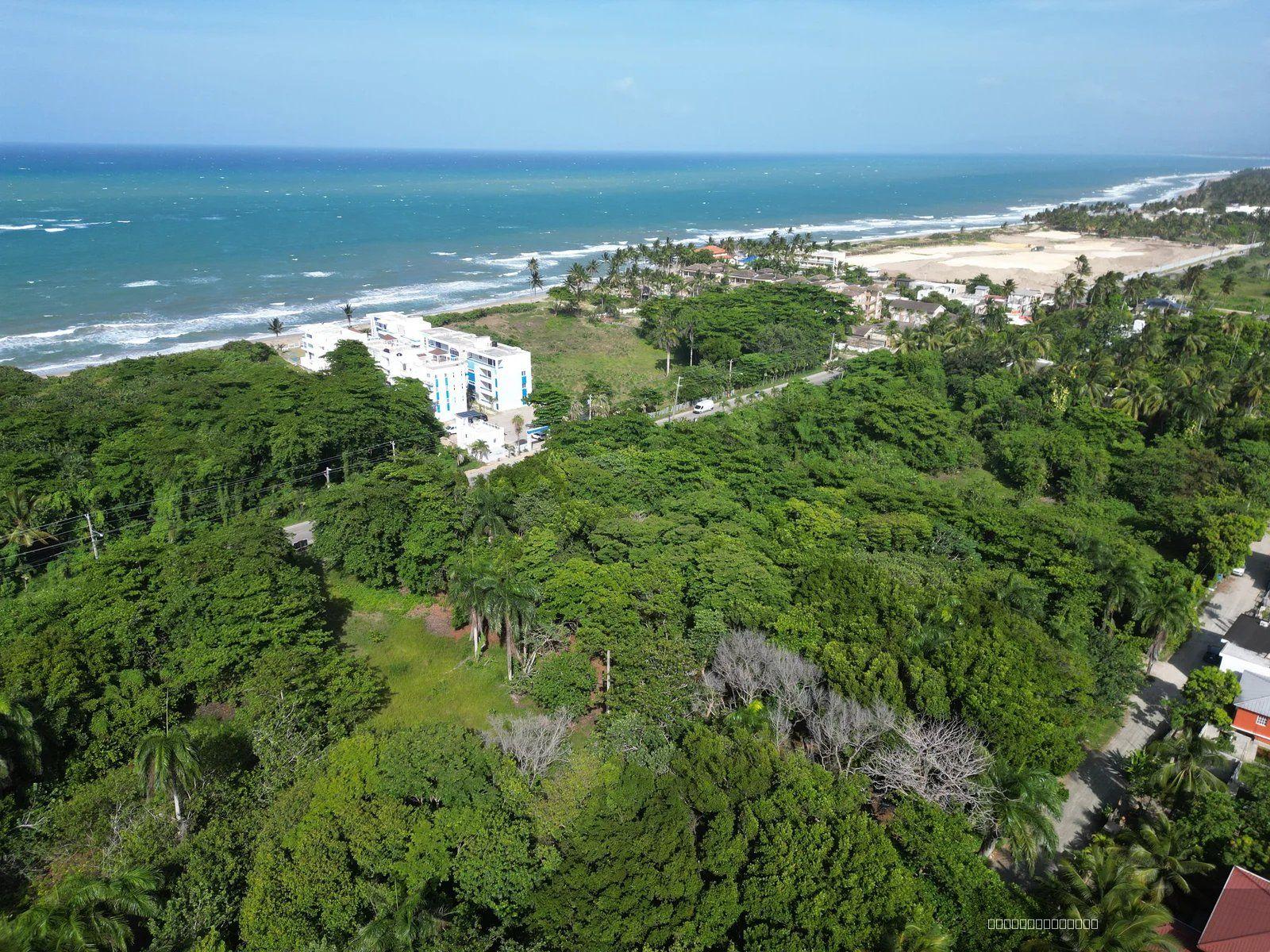 Large Development Land for Sale in Cabarete Near Beaches — photo 5