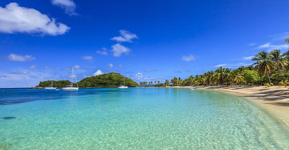 22 Acres Beachfront Land for Sale, Salt Whistle Bay, Mayreau, St Vincent & the Grenadines — photo 4