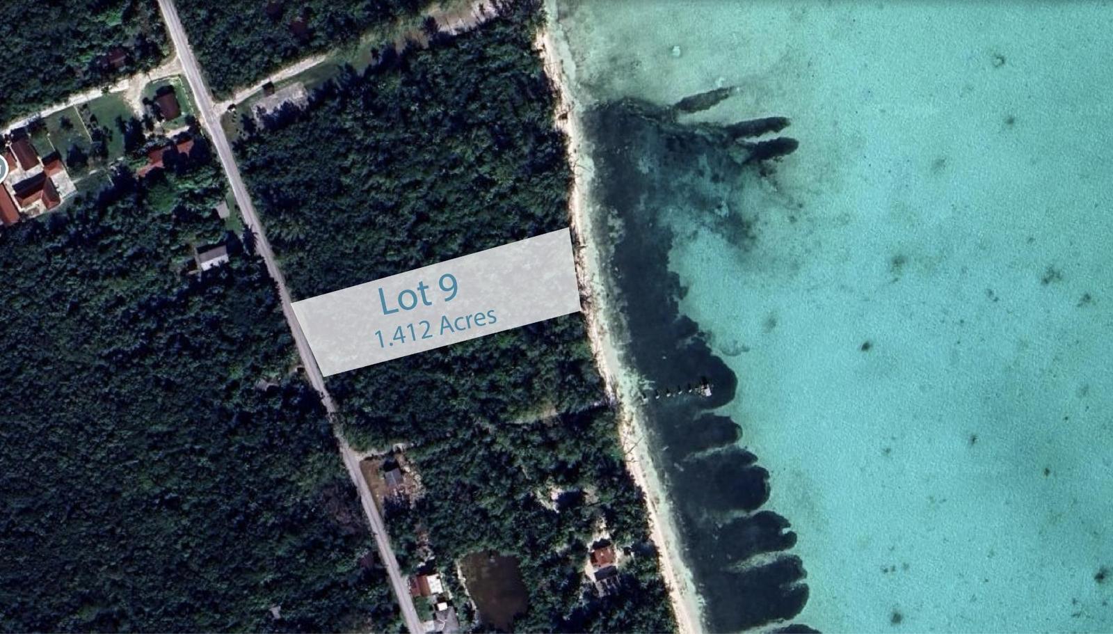 MANGROVE CAY — photo 5