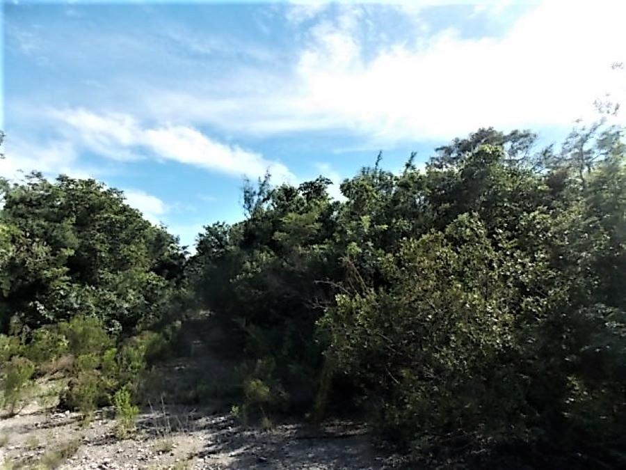 LOT# 20 STELLA MARIS — photo 3
