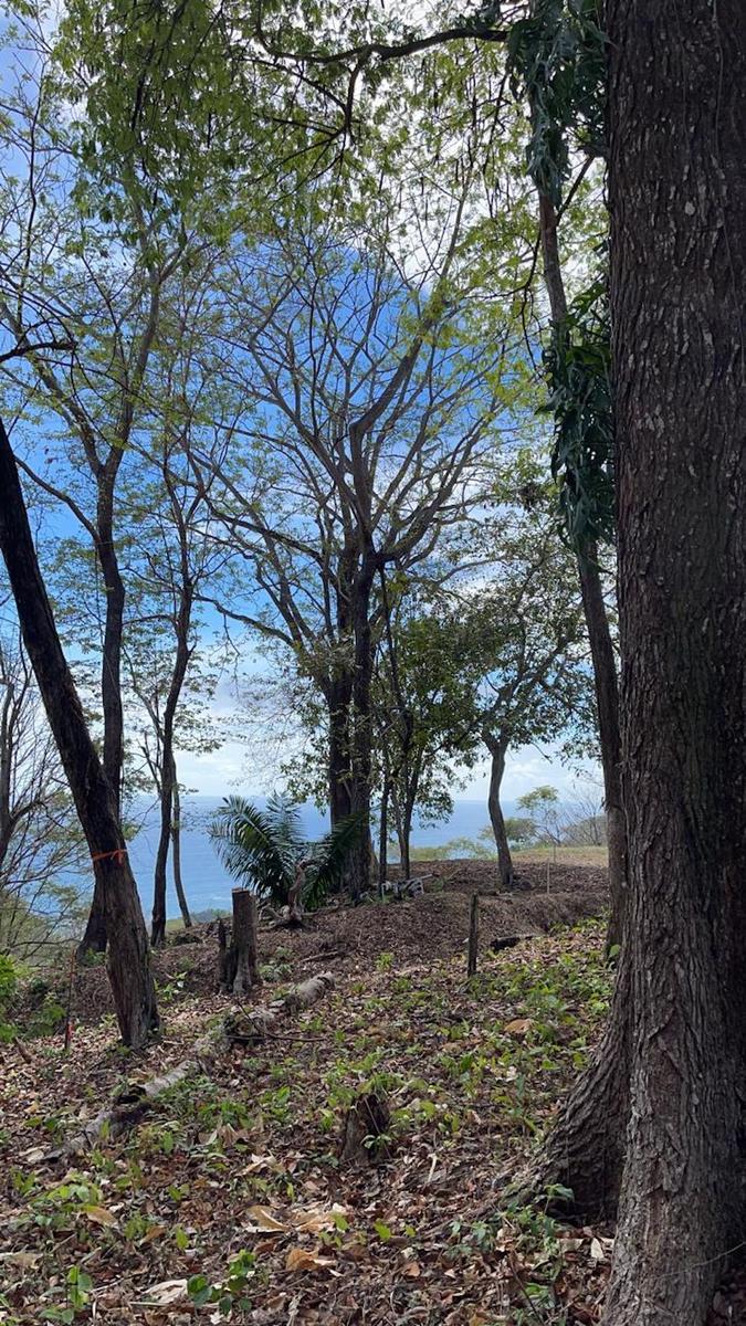 3,092 Sq M Lot for Sale, Maramar, Santa Teresa, Puntarenas, Costa Rica — photo 4