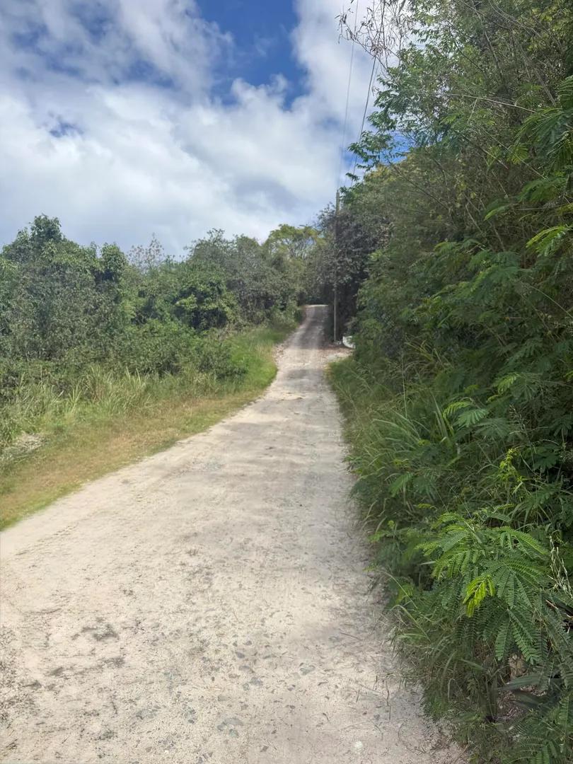 0.56 Acre Homesite in Tradewinds at Morningstar — photo 5