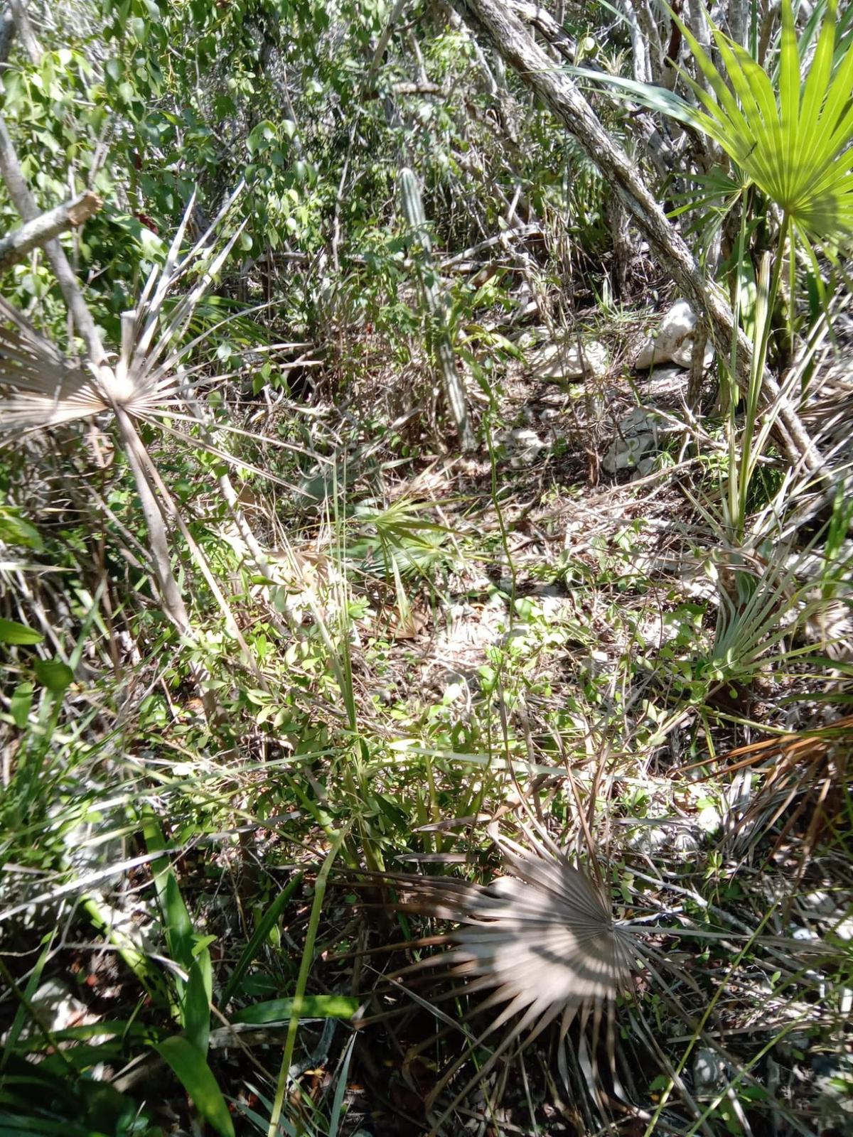 HARTSWELL — photo 3