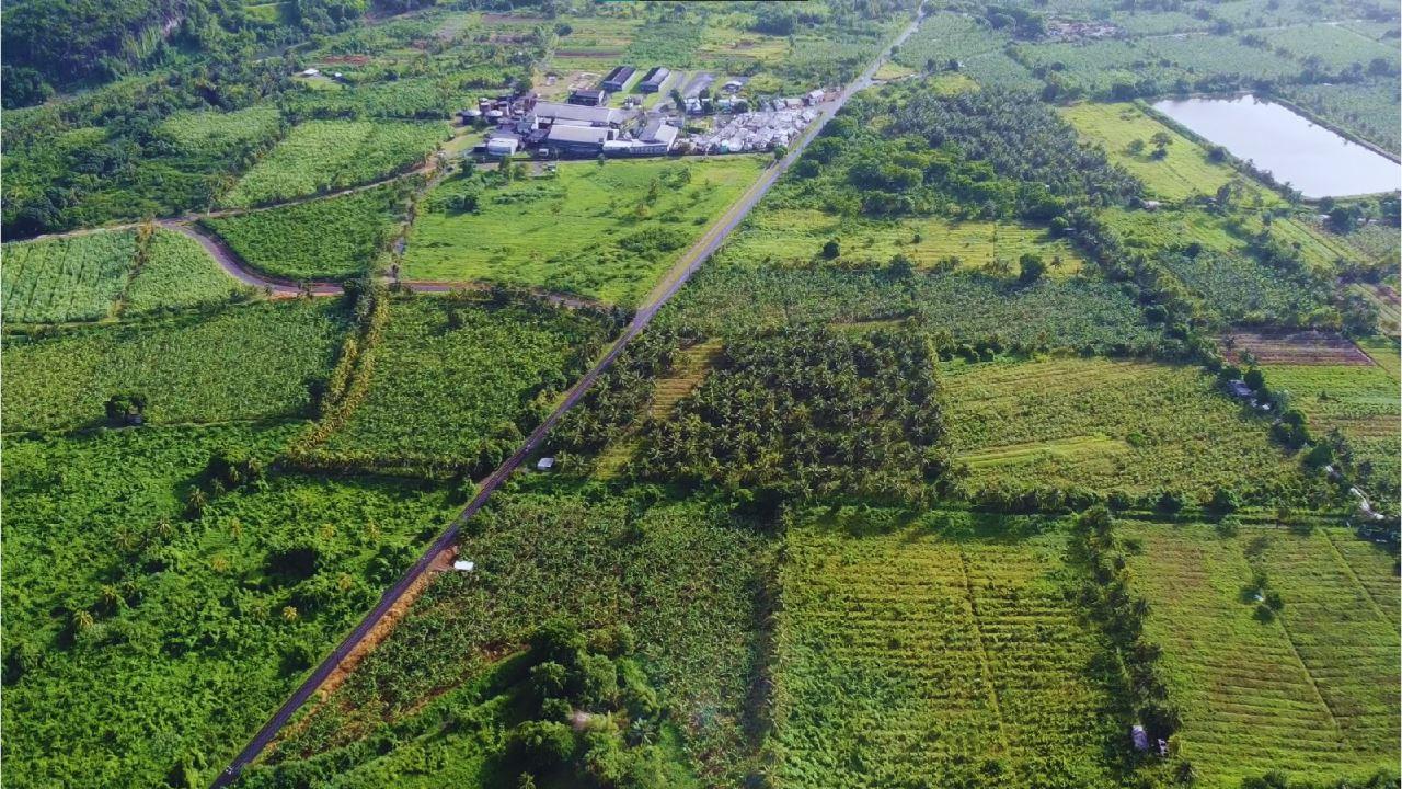 Farmland lots for sale in Anse-la Raye — photo 2