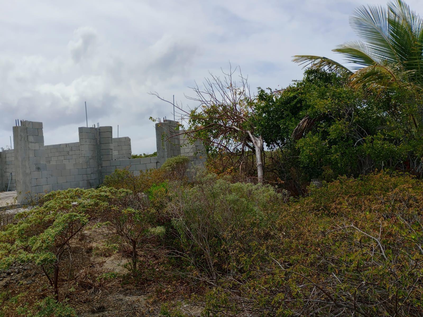 BEACHFRONT MAYAGUANA — photo 5