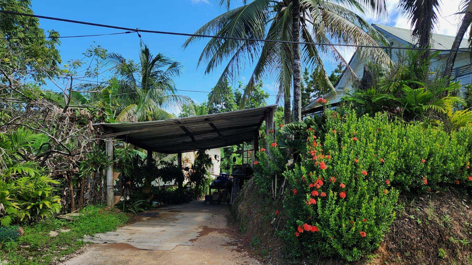 2 Toco (Combined) Houses for Sale — photo 4