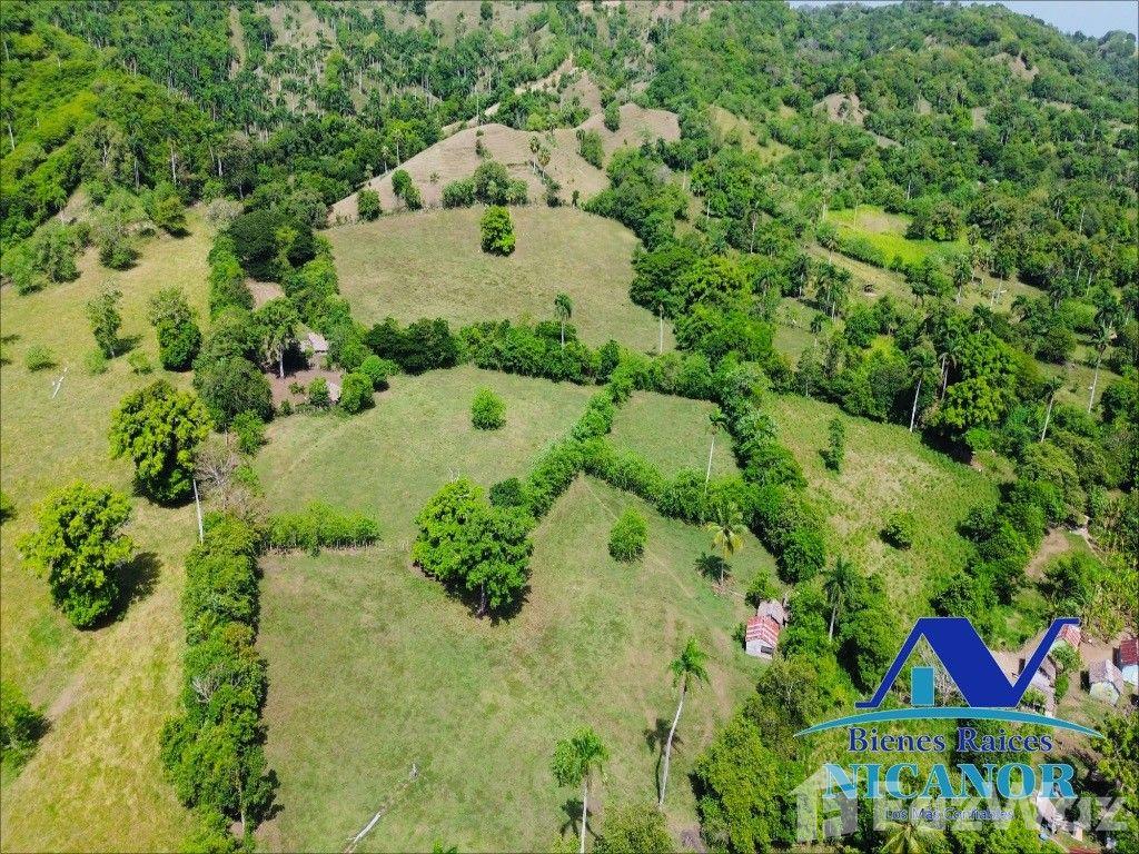 825-acre cattle farm for sale — photo 4
