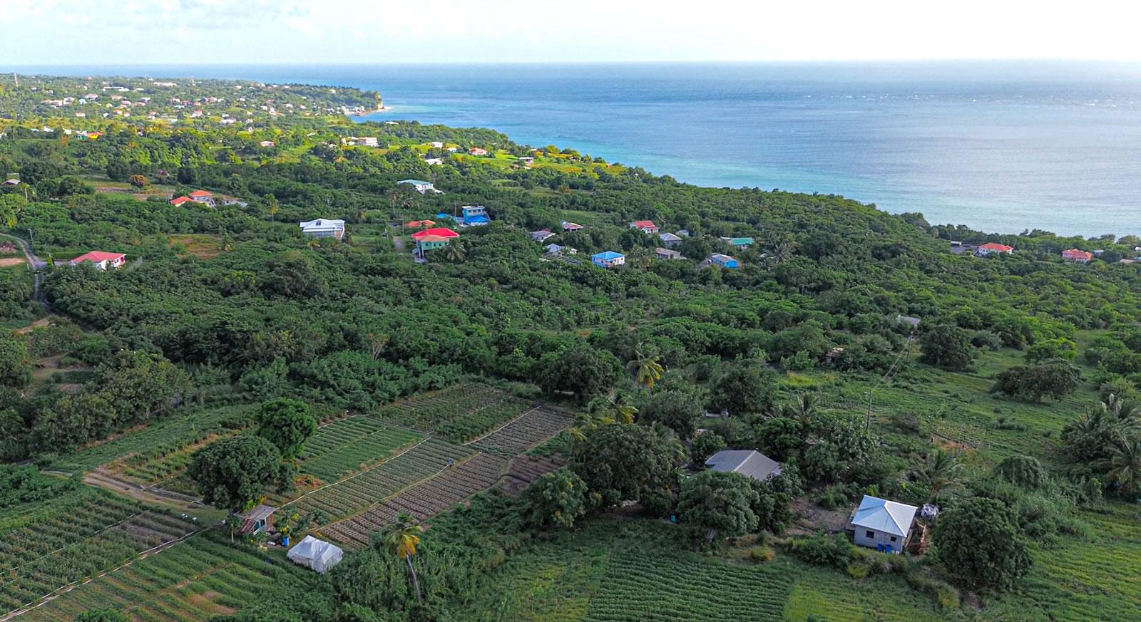 8 Bedroom Boutique Resort and Villa for Sale, Choiseul, St Lucia — photo 3
