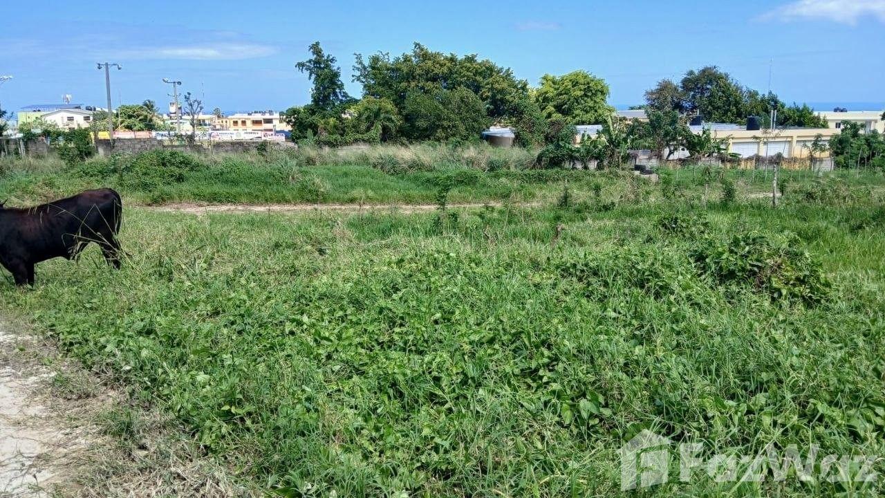 Residential Land for Sale in San Felipe De Puerto Plata, Puerto Plata — photo 3