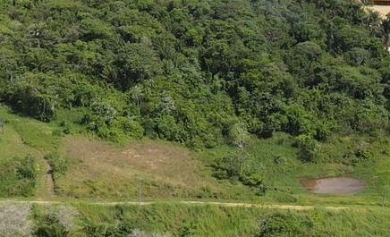 15 acres agricultural land and business for sale — photo 2