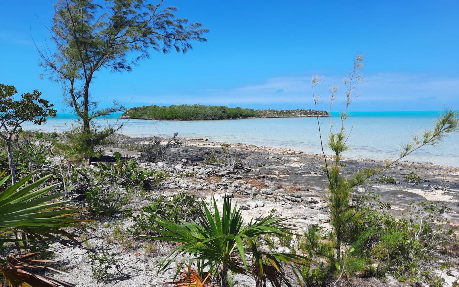 Lot A5, Bunches, Bahamas — photo 4