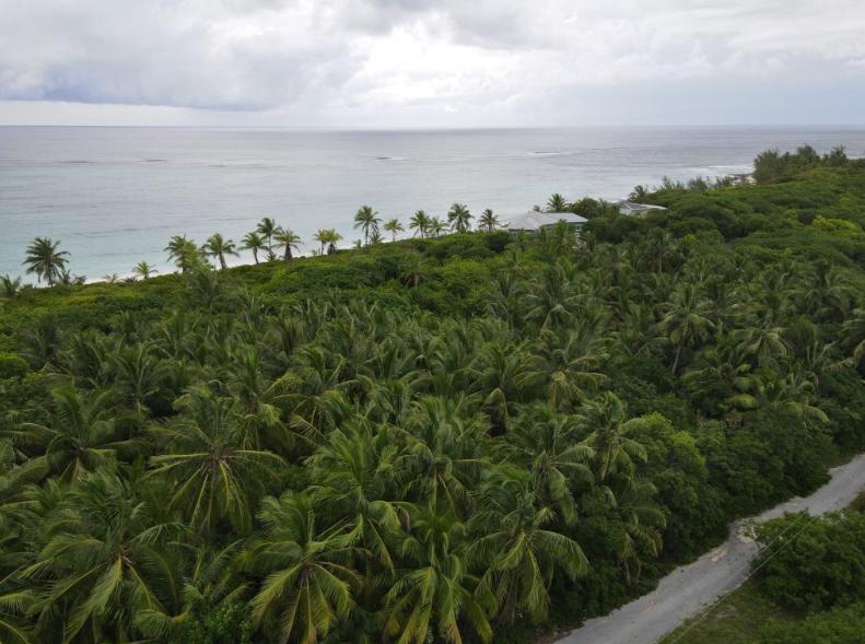 Breeze Away Estates Bahamas 1 Acre Lot — photo 4