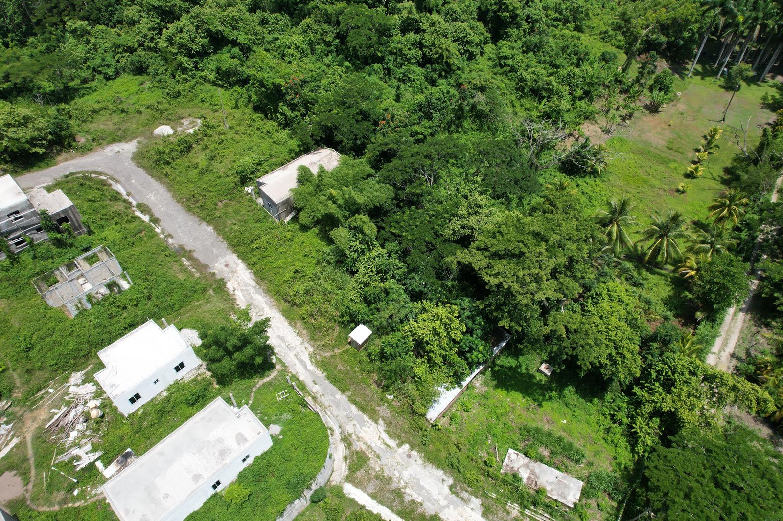 Haughton Court Lucea, Hanover — photo 1