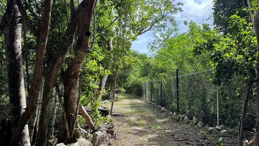 Plot for sale in Lyford Hills, New Providence — photo 2
