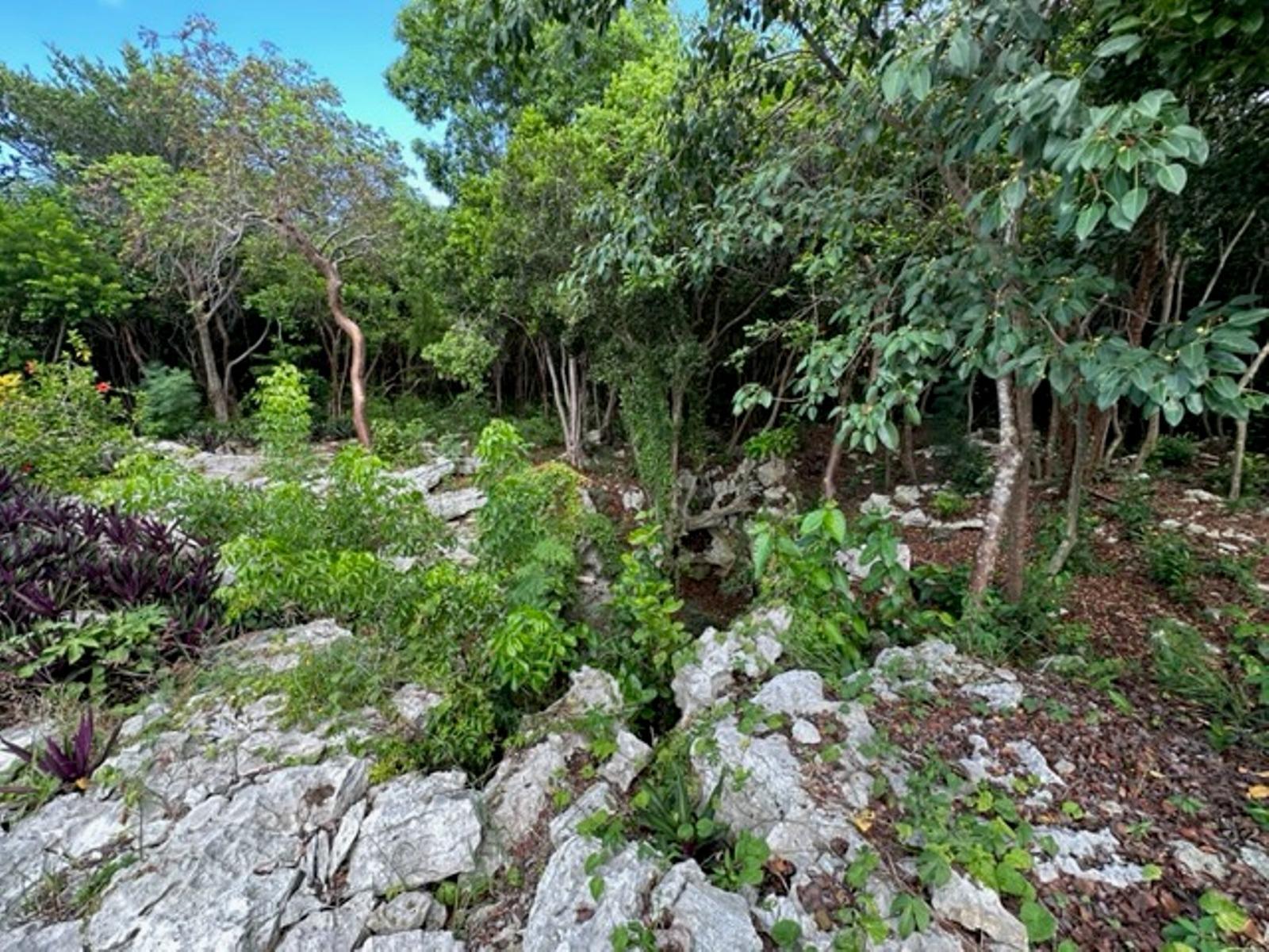 1 bedroom Residence for sale — ELEUTHERA ISLAND SHORES in Eleuthera, The Bahamas — photo 5