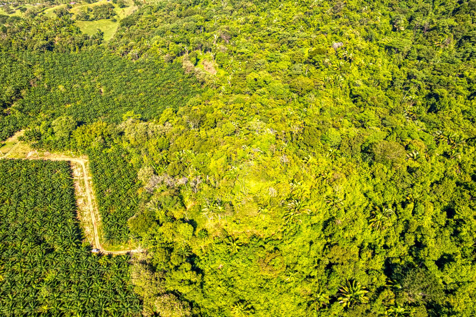 17.2 Acres of Ocean-View Land for Sale — photo 2
