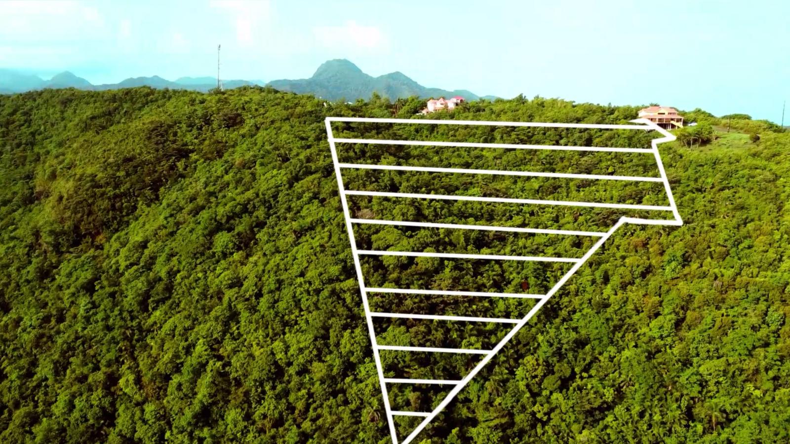 Prime Development Land in Massacre, Anse-la-Raye — photo 4