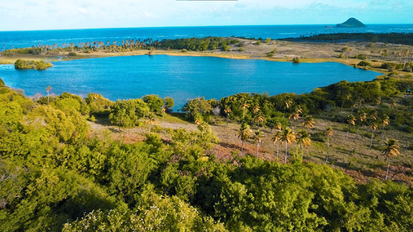 Rare Oceanfront Development Opportunity with Natural Pond – Savannes Bay, Micoud, Saint Lucia — photo 3