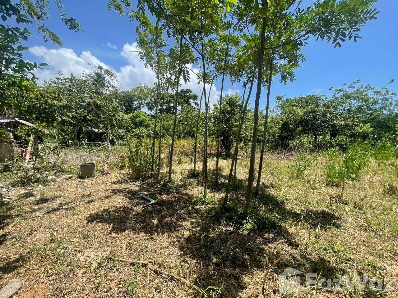 Land for Sale in Maimón – Ideal for a Tourism Project — photo 2
