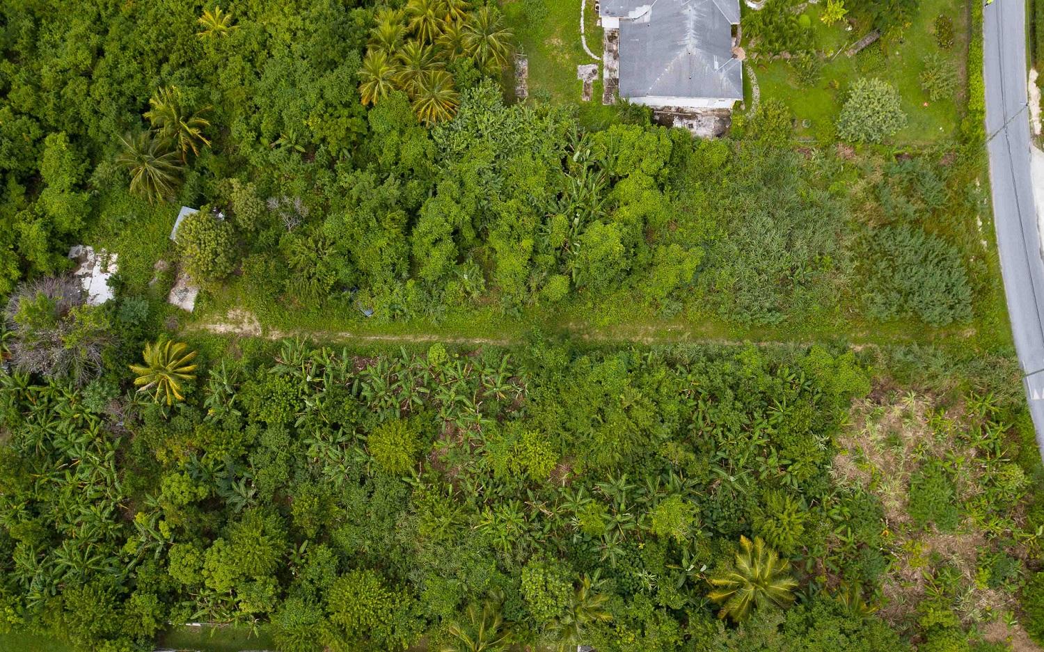 Lot S, Commercial Acre, Palm Breeze Drive - Mls 63387 — photo 3