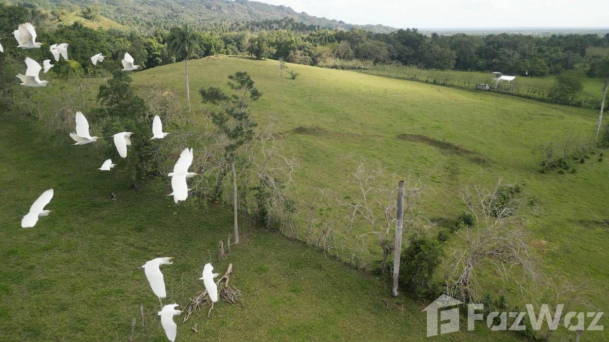 Hobby Or Organic Farm For Sale in Sosua, Puerto Plata — photo 1