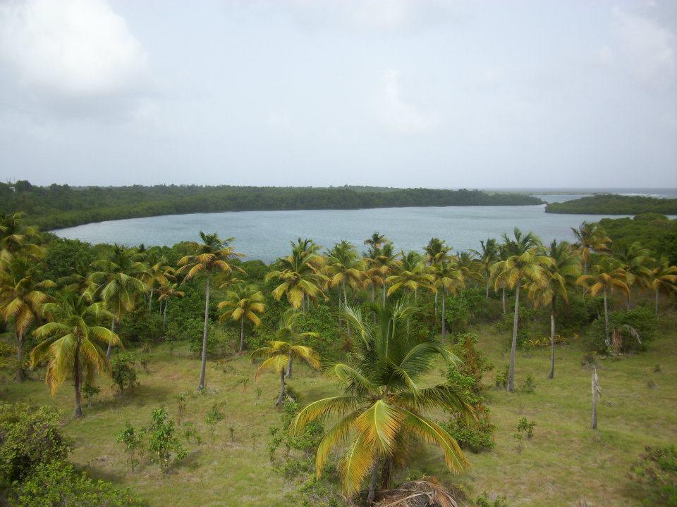 7 Acres Beachfront Land for Sale in Savannes Bay, St Lucia — photo 1