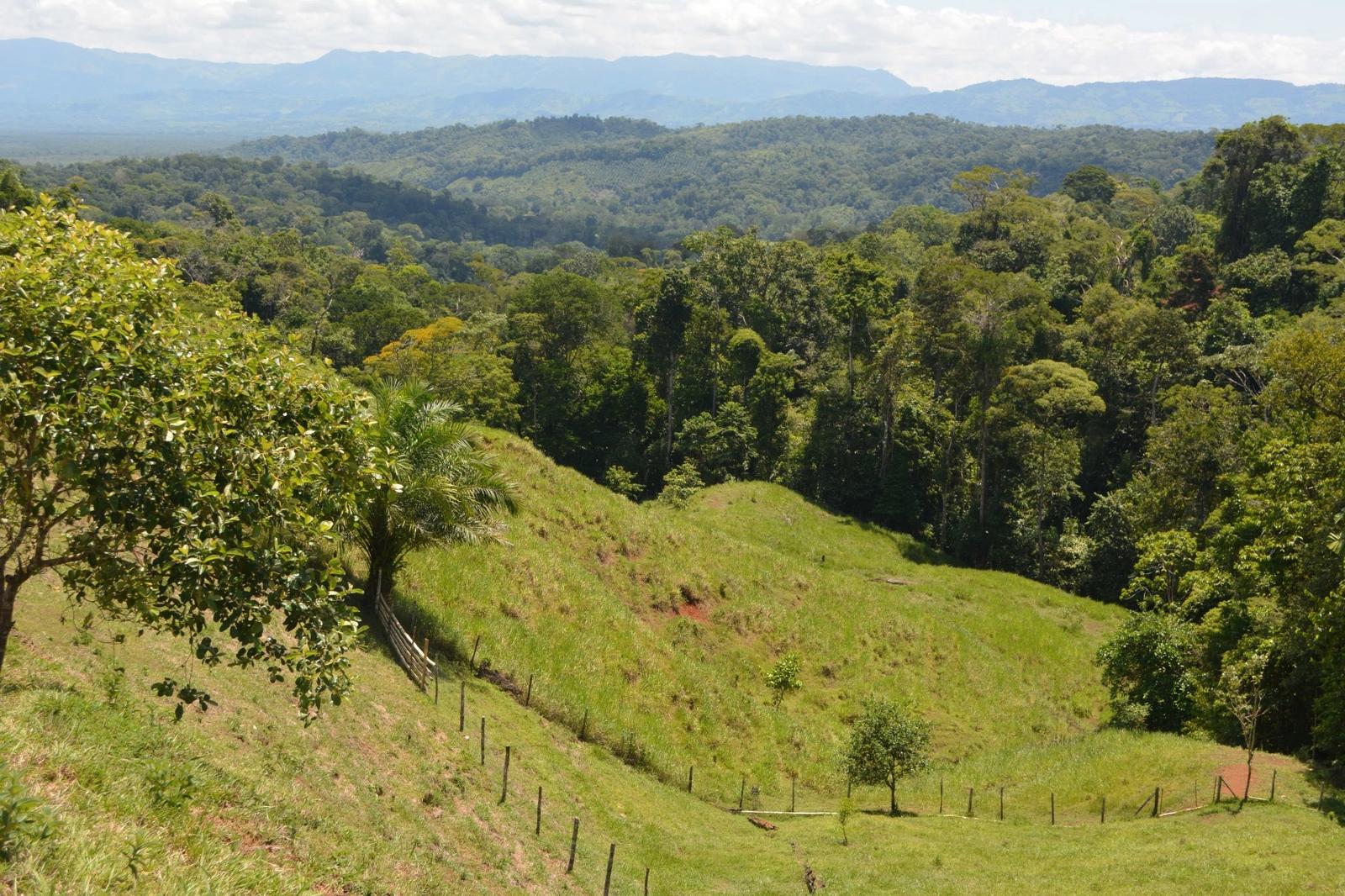 71 Acres of Land for Sale, Los Mogos, Osa Peninsula, Costa Rica — photo 2