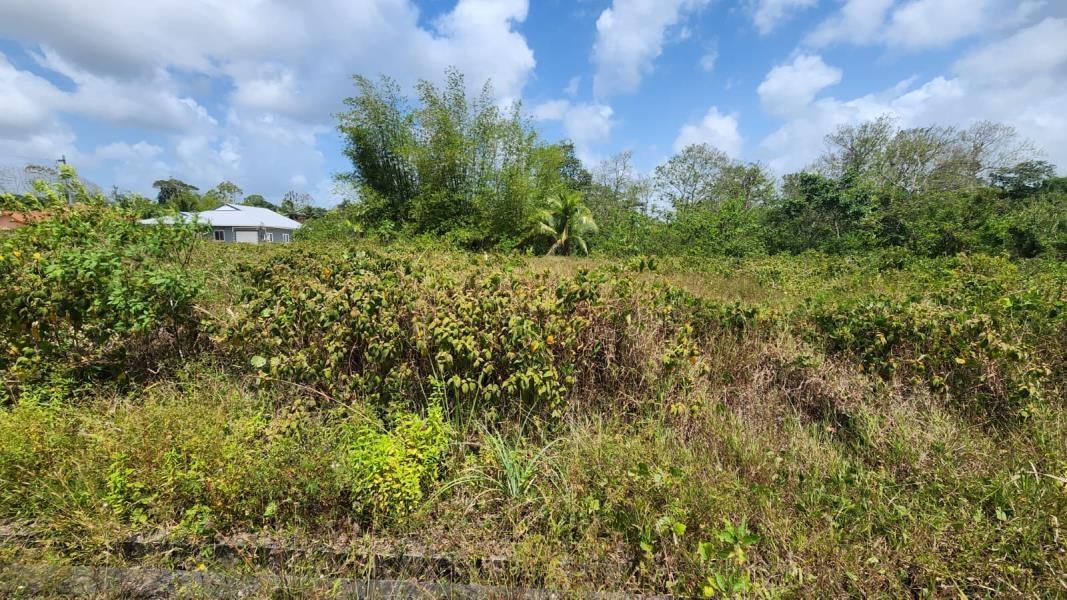Guaico Tamana Road Lots for Sale — photo 4