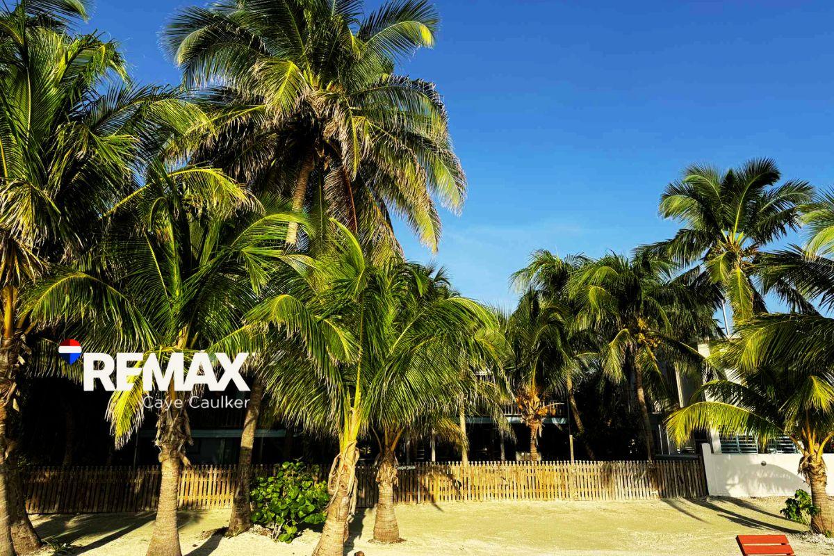 CAYE CAULKER OCEANFRONT INVESTMENT – 3 ADJACENT PROPERTIES IN TOP LOCATION — photo 2
