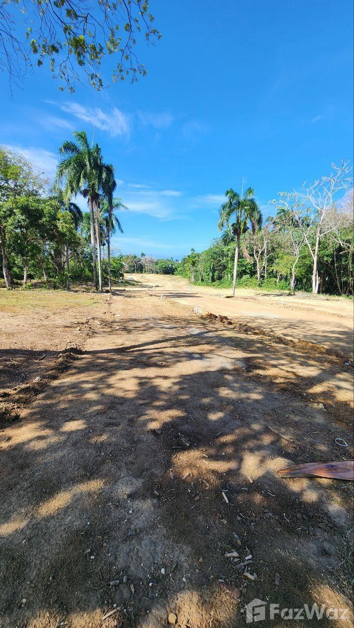 Residential Development Land Plot in San Felipe De Puerto Plata — photo 5