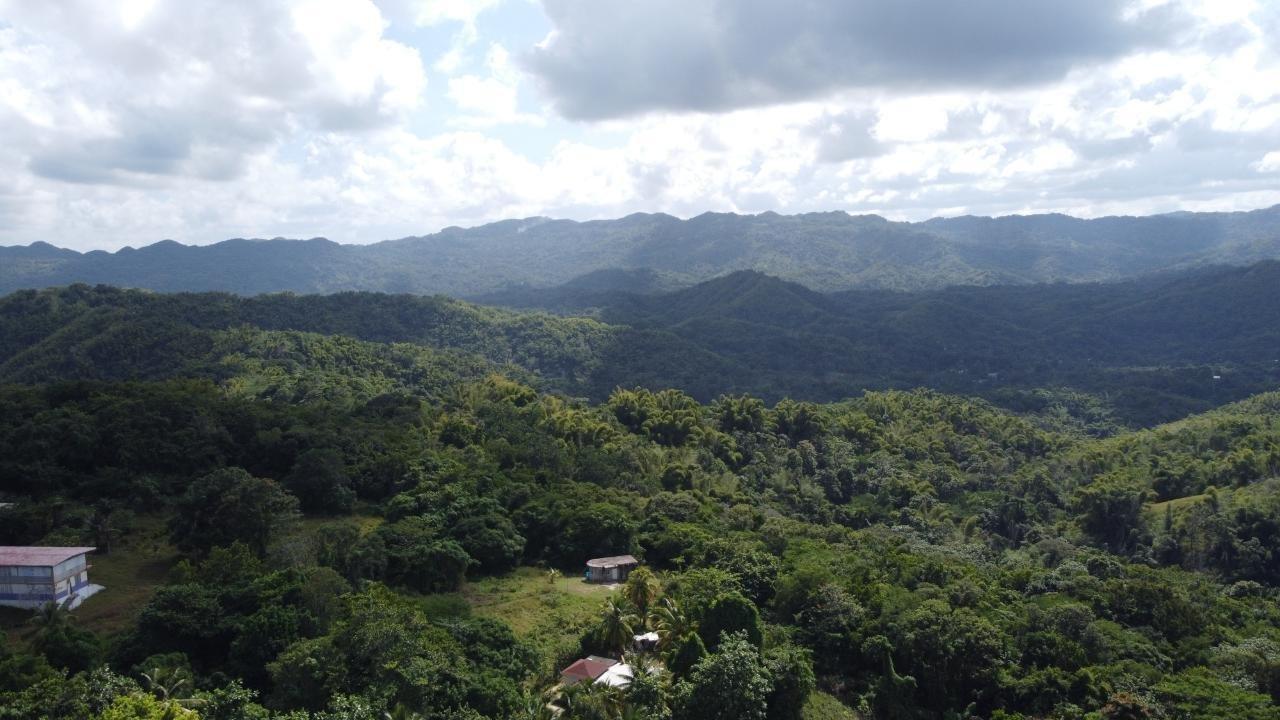 Commercial Land for Sale in Jamaica — photo 5