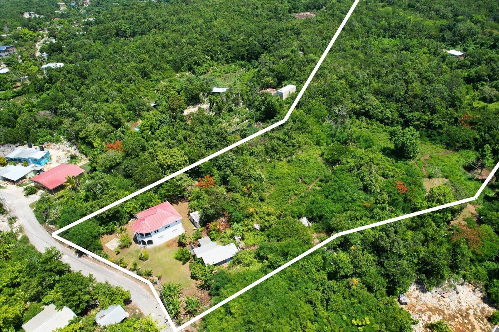 10 Acre Estate in Brighton, Westmoreland — photo 5