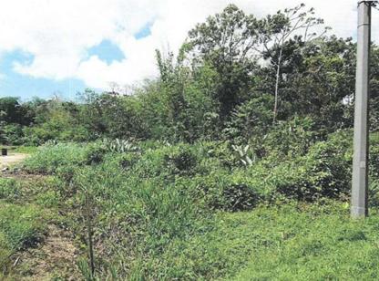 APPROVED LAND FOR SALE (3 ACRES) - SHIVAN DRIVE, SANGRE CHIQUITO, TRINIDAD — photo 4