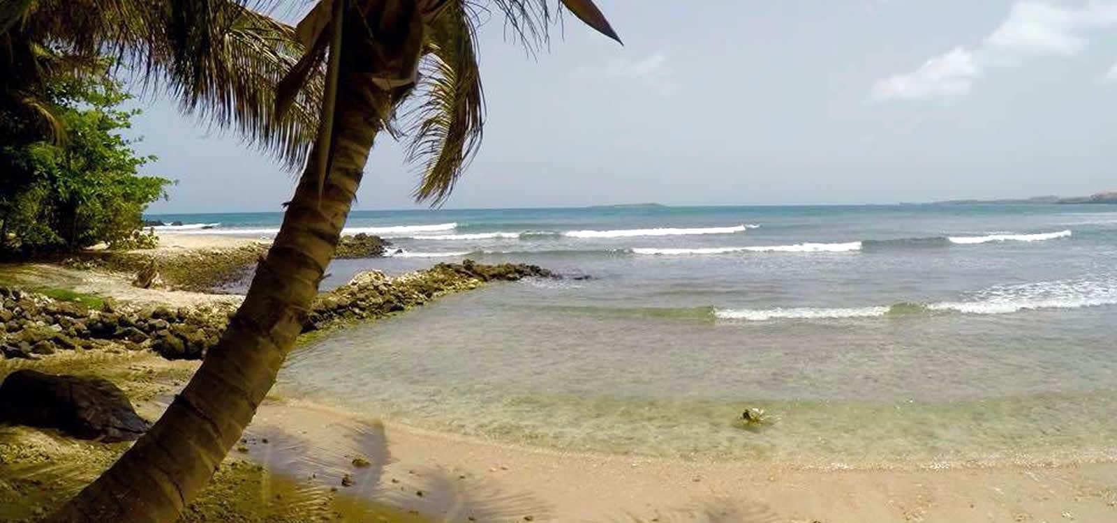 5.5 Bedroom Beachfront Villa for Sale, Lance aux Epines, Grenada — photo 2