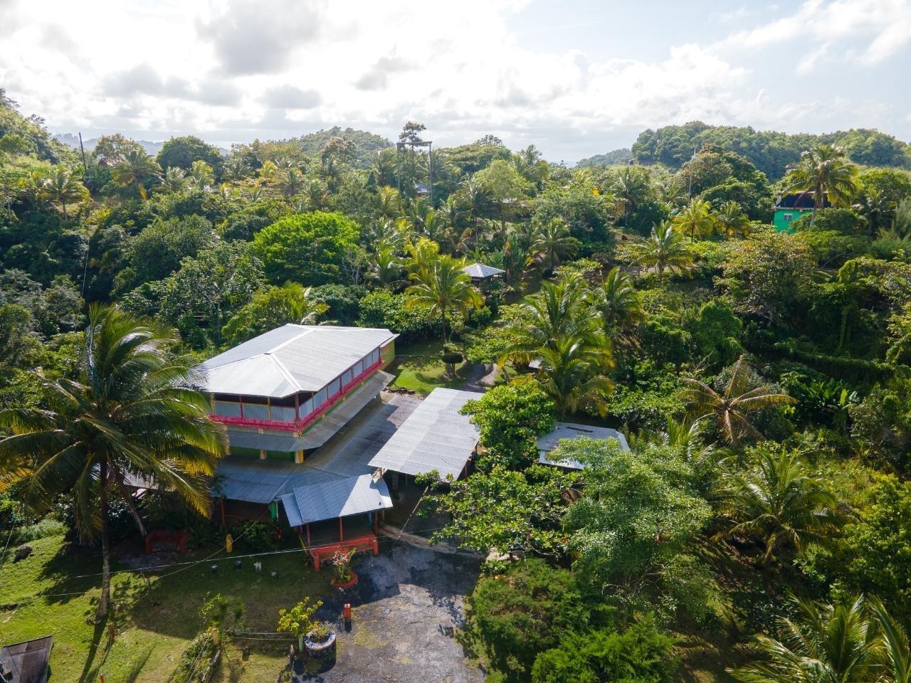 28 Acre Adventure Site & Guest House for Sale, Free Hill, St Ann, Jamaica — photo 5