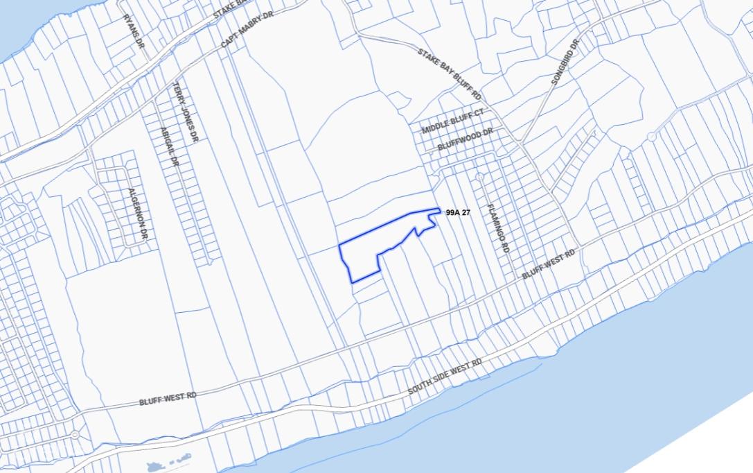 Cayman Brac Central Bluff Land - 7.5 Acres Investment Property — photo 4