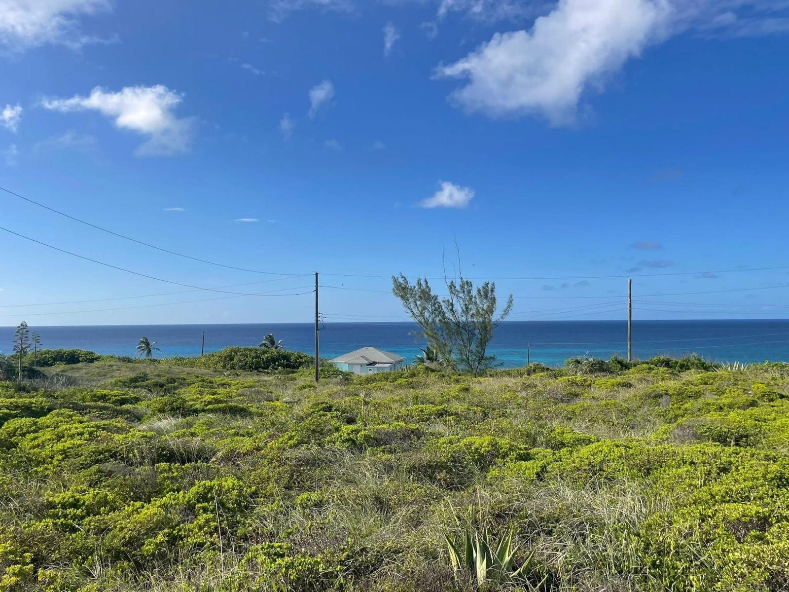 HOLIDAY BEACH — photo 2