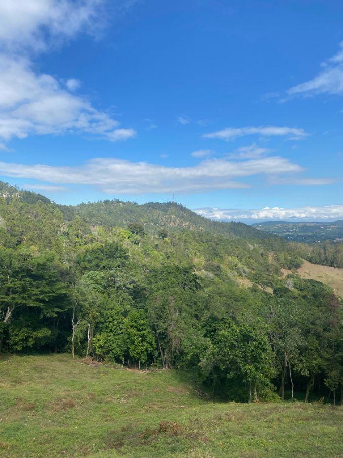 Investment Land for Sale Jarabacoa Dominican Republic — photo 3