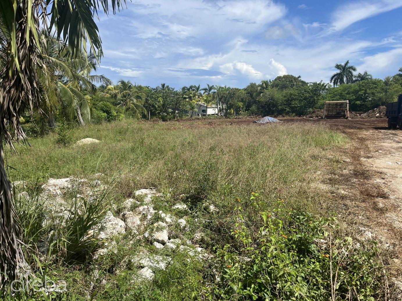Lookout Gardens Large Parcel — photo 4
