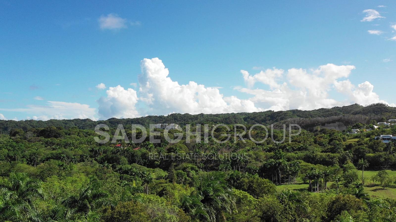 Breathtaking Land For Sale In El Choco Sosua — photo 1
