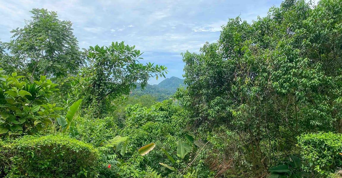 9 Acres of Ocean-View Land for Sale, San Buenas, Ojochal, Puntarenas, Costa Rica — photo 1