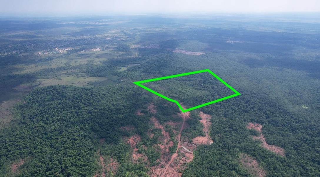 Excellent Development Opportunity — 87 Acres of Lush Jungle Near Santa Cruz — photo 1