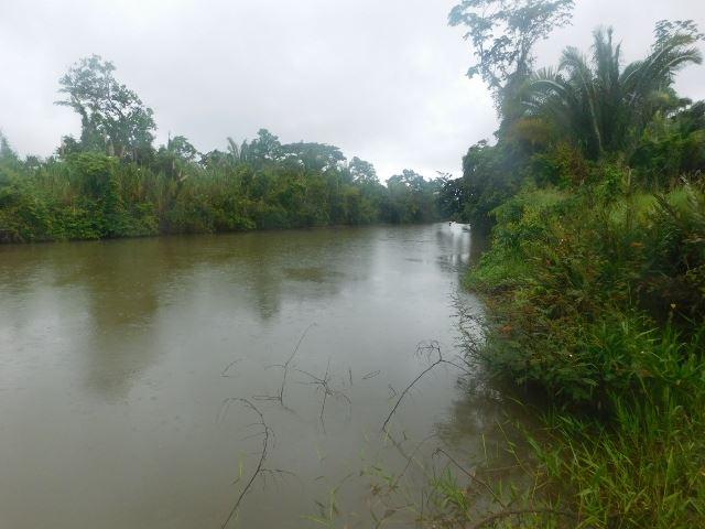 #2510 - 70 ACRES + RIVER - STANN CREEK DISTRICT, BELIZE — photo 5