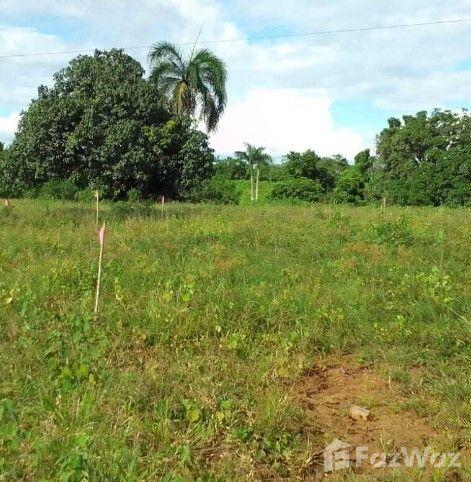 Land for Sale at Carr. La Victoria — photo 5