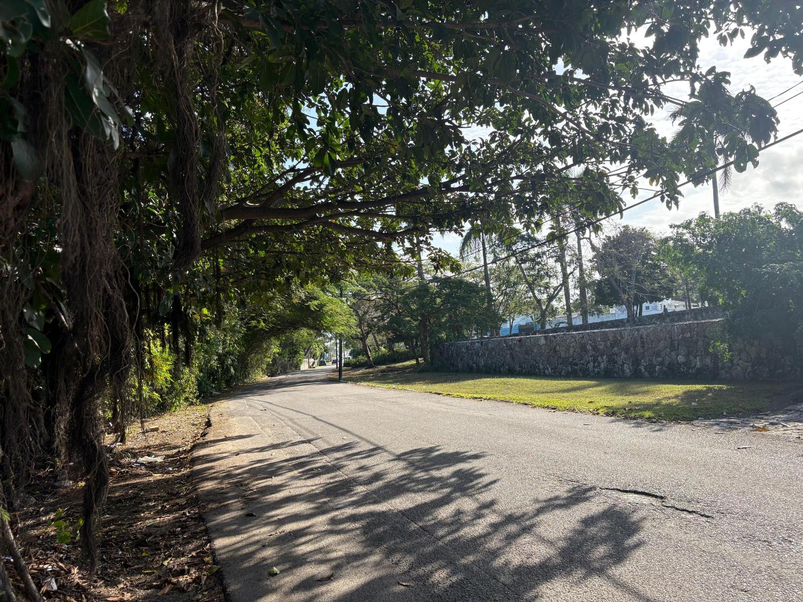 HAVEN AVENUE — photo 4