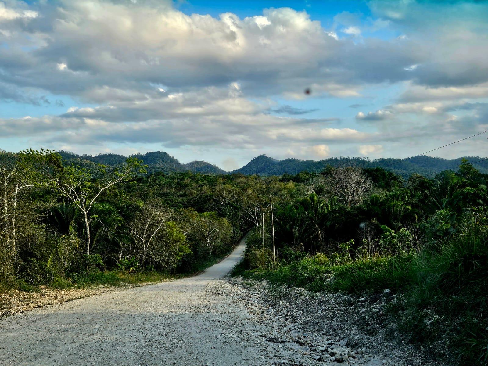 Lot 33 - Jungle Dream in Belize Eco Village — photo 5