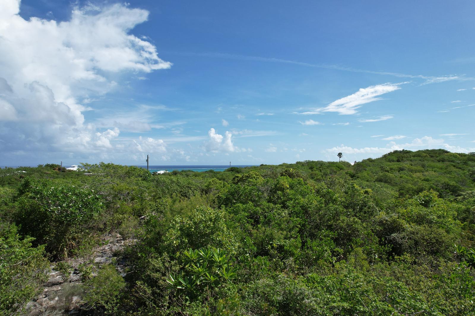 Blue Mountain Undeveloped land — photo 3