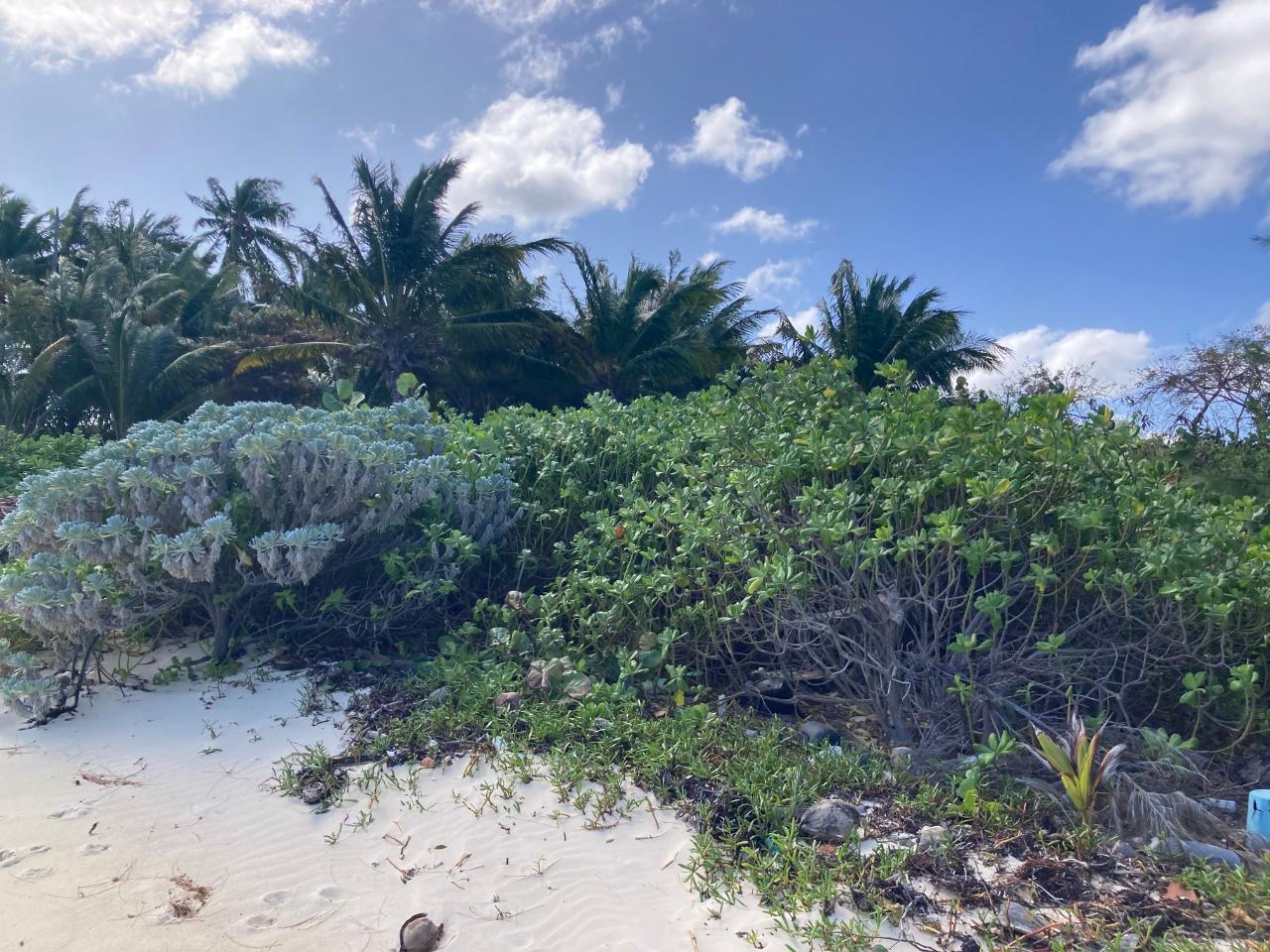 JOHNSON ROAD BAY — photo 4