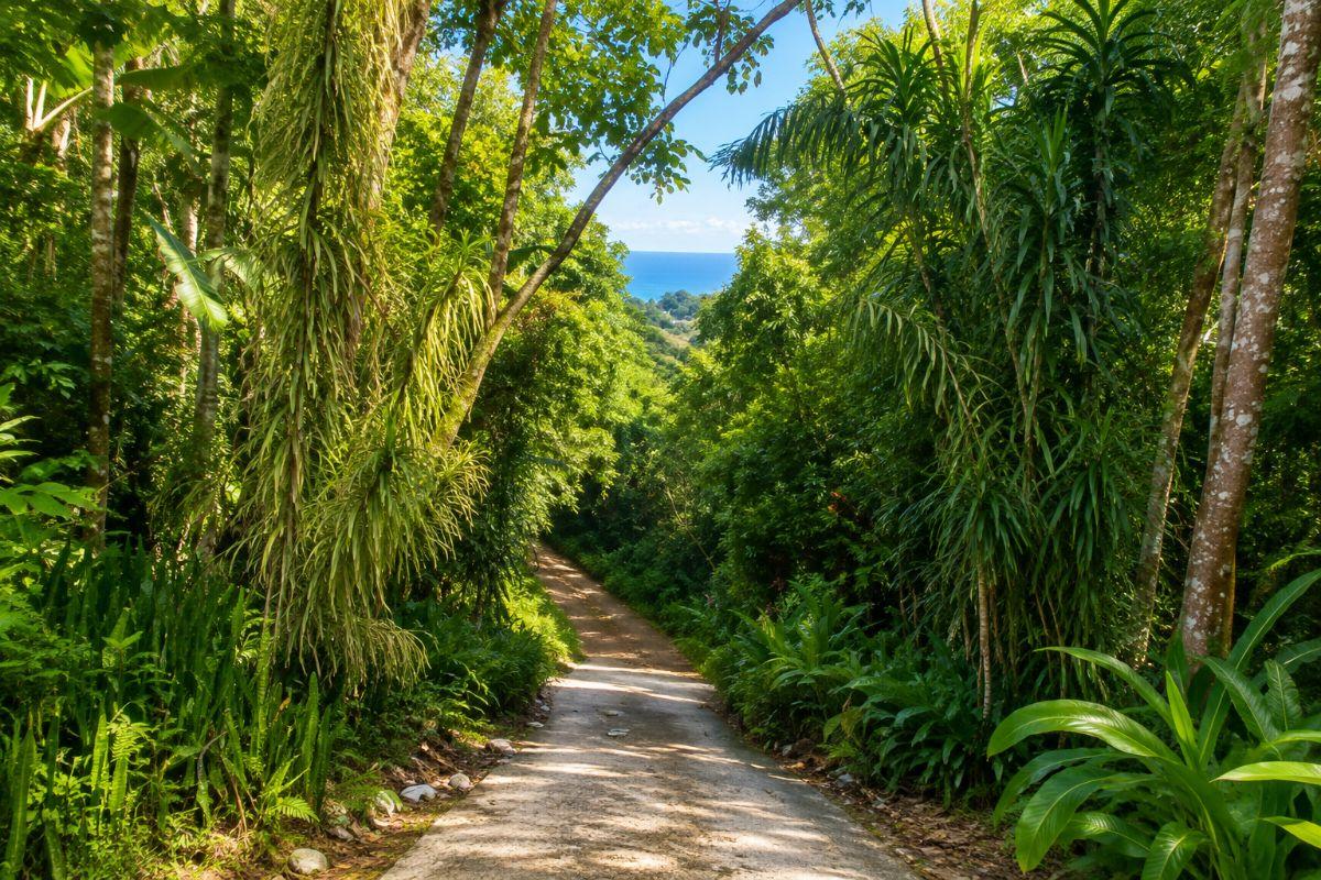 Exceptional 2,672 m² Building Plot with 180° Panoramic Sea Views - Las Terrenas — photo 4