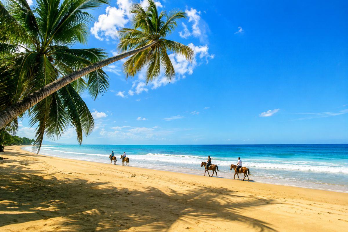 Rare 2,500 m² Building Plot Just 60 m from Playa Cosón — photo 4